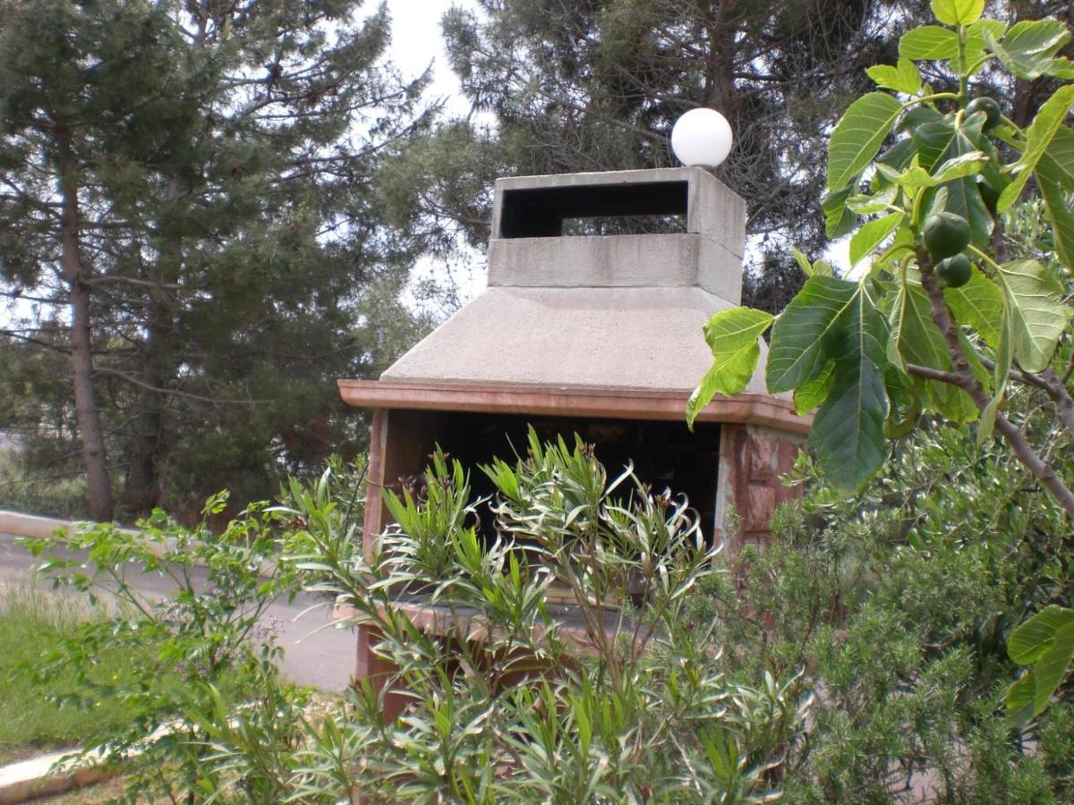 Apartmani Vesna Vir Luaran gambar